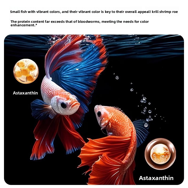 Yee Krill & Baby Garnalen Droo - Baby Food High In Protein recensie en prijs